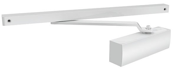 1 јрмадилло